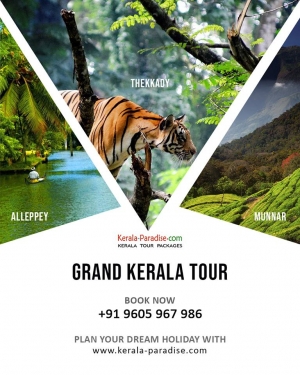 Plan customized tour packages with best Kerala tour Operator
